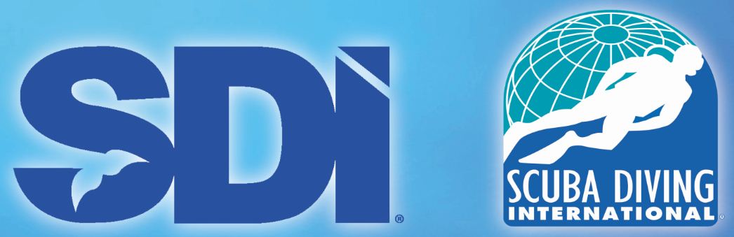 SDI Logo new