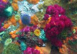 Image 004