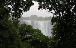 Image 027