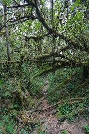 Image 020