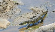 Image 075