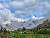 Image_006