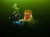 2012.9. Техно. Белое море