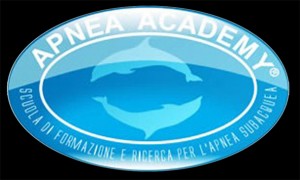 logo_AA logo AA-300x180